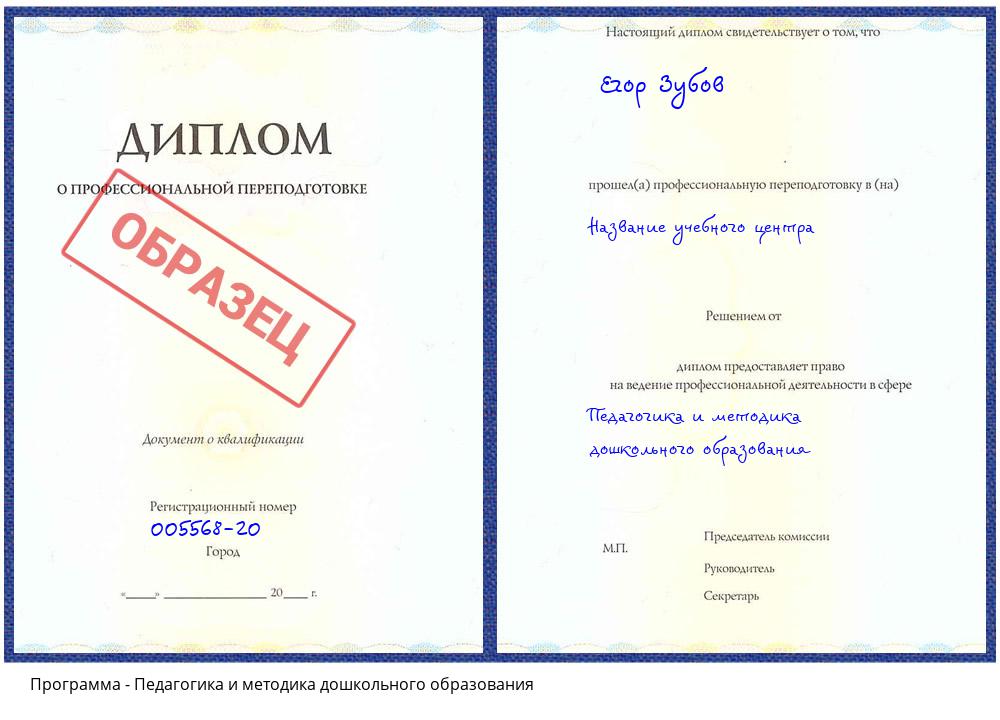 Педагогика и методика дошкольного образования Жуковский