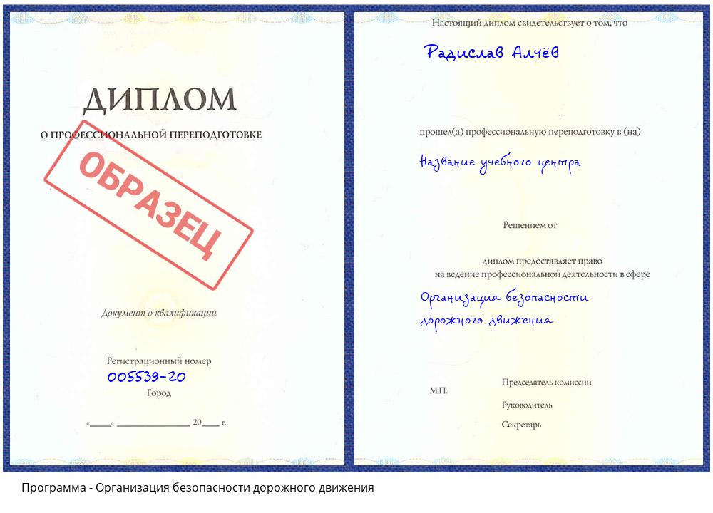 Организация безопасности дорожного движения Жуковский