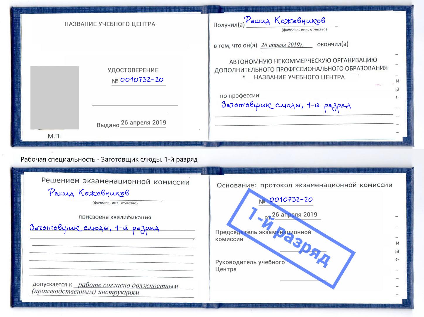 корочка 1-й разряд Заготовщик слюды Жуковский
